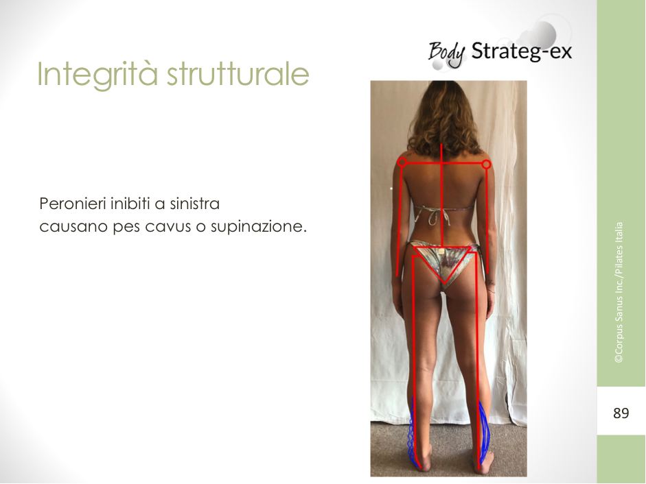 Postura e integrità strutturale