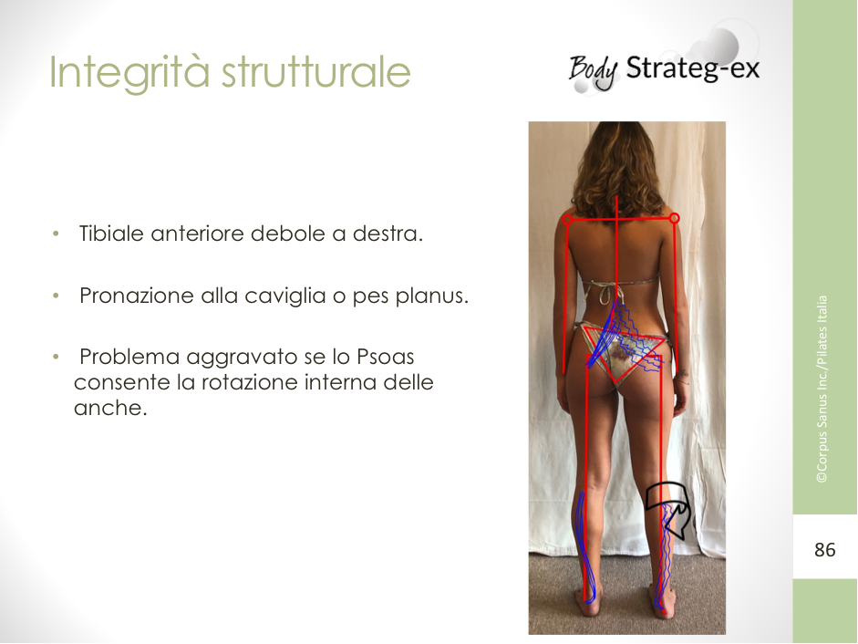 Postura e integrità strutturale