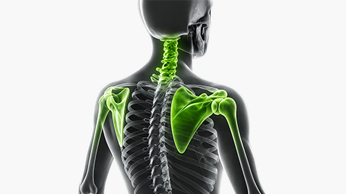 Corso BodyStrateg-ex Upper Extremities